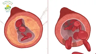 CSR Medication | Scotmann Pharmaceutical | Centre of Excellence.
